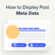 How to display blog post meta data in your WordPress themes