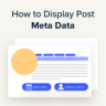 How to display blog post meta data in your WordPress themes