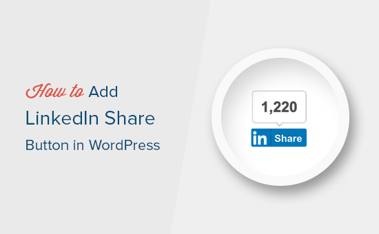 Adding LinkedIn share button in WordPress