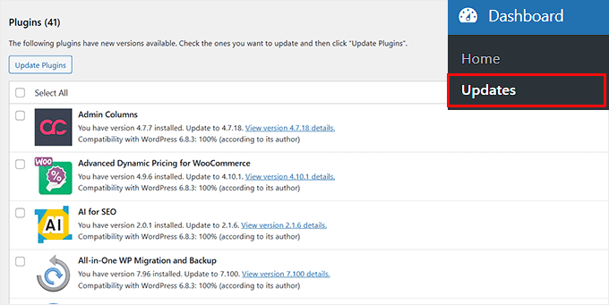 Updates in WordPress durchführen Updates in WordPress durchführen
