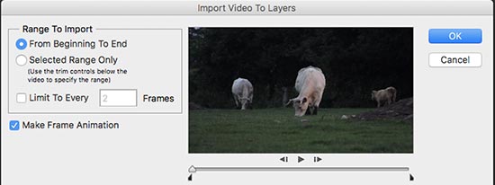 Video to layers import