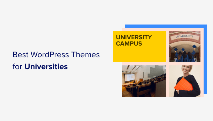 Best WordPress Themes for Universities