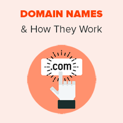 Beginners Tutorial: What is a Domain Name & How They Work?