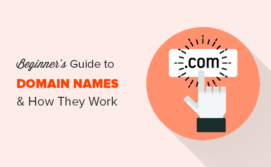 The domain registration hierarchy and WHOIS