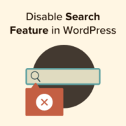 How to disable the search feature in WordPress thumb