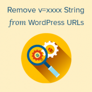 How to Remove v=XXXX string from WordPress URLs