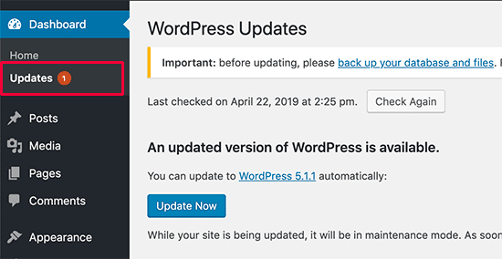 WordPress updates page