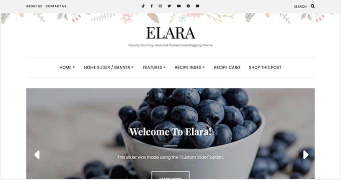 Elara Pro