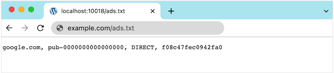 An example of an ads.txt file in WordPress