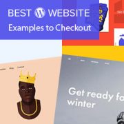 Excellent WordPress Website Examples That You Should Check Out in 2018
