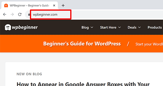 Domain name entered into a browser address bar.