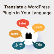 How to translate a WordPress plugin in your language