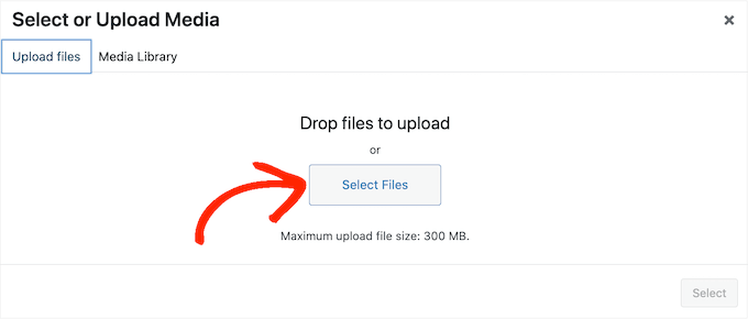 How To Bulk Upload Files To WordPress Via FTP + Other Methods - WPKube