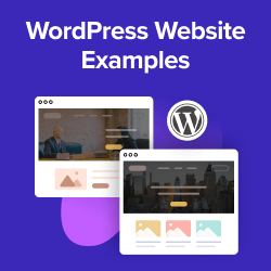 WordPress Website Examples