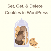 How to Set, Get, and Delete WordPress Cookies (Beginner's Guide)