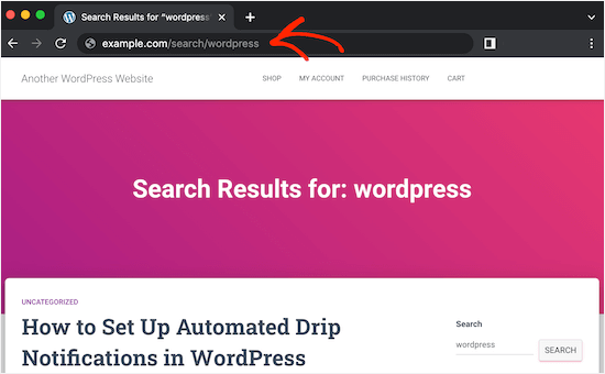 Una URL de slug de búsqueda personalizada de WordPress