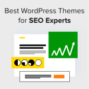 Best WordPress Themes for SEO Experts