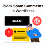 How to Use Antispam Bee to Block Spam Comments in WordPress