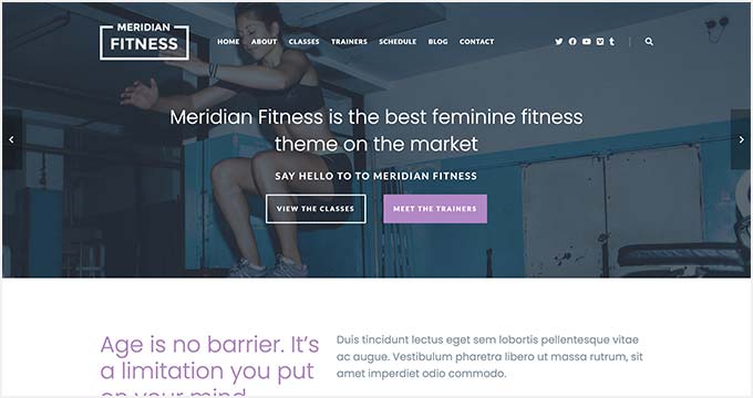 WebHostingExhibit meridianfitness 25 Best WordPress Themes for CrossFit (2023)  