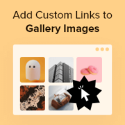 Adding custom links to gallery images