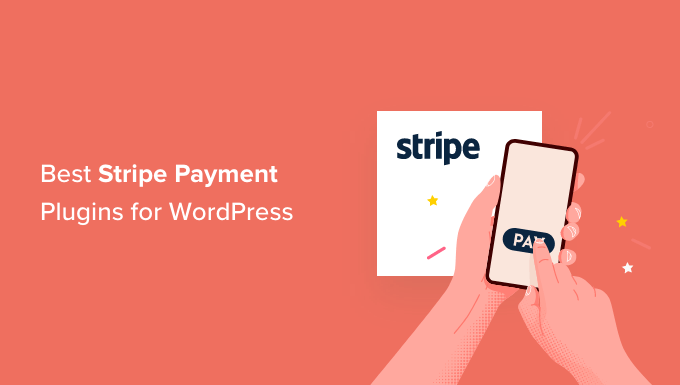 Best Stripe Payment Plugins for WordPress