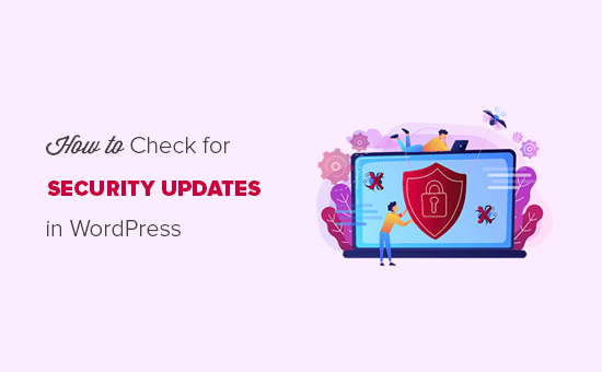 How to check for WordPress security updates