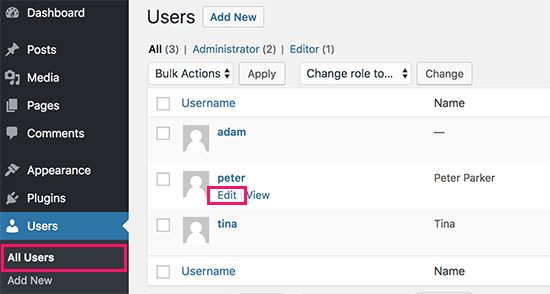 Editing a user account in WordPress