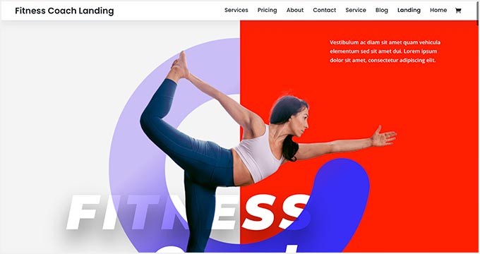 Divi Martial Arts WordPress Theme