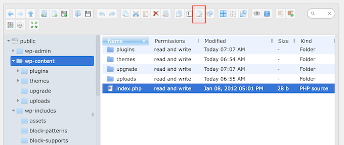 Editing files using an FTP like file manager in WordPress
