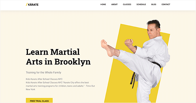 SeedProd Martial Arts Theme