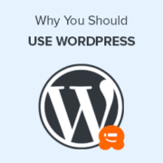 Important Reasons Why You Should Use WordPress for Your Website
