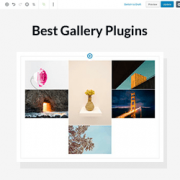 Best WordPress Gallery Plugins