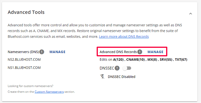 Manage Advanced DNS Records in Bluehost