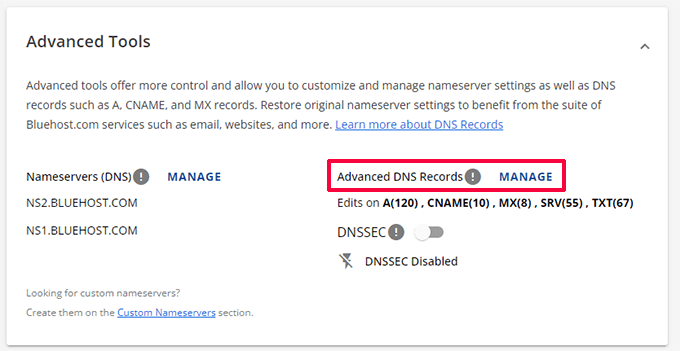 Gerenciar registros DNS avançados na Bluehost