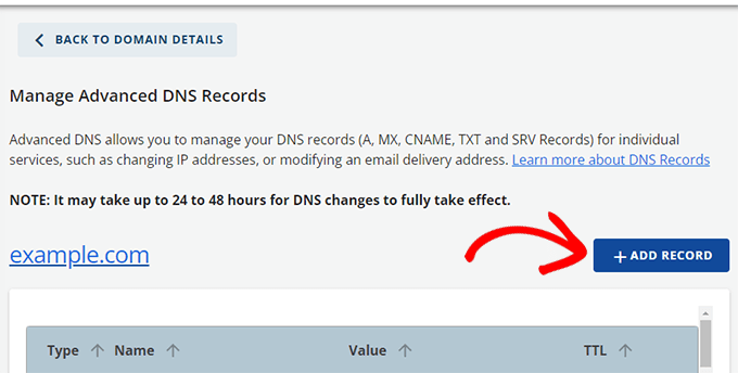 Adding an Advanced DNS record in Bluehost