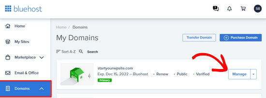 click on domains tab in bluehost