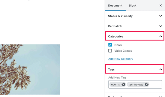 WP Categories and Tags