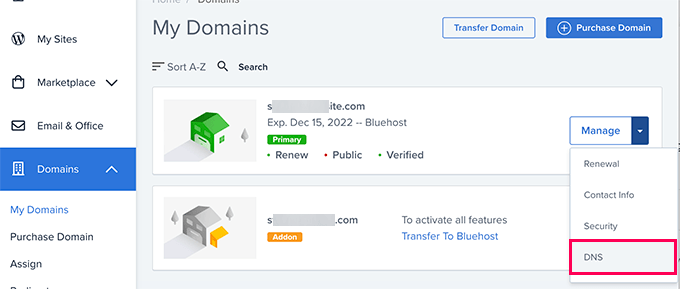 Manage DNS