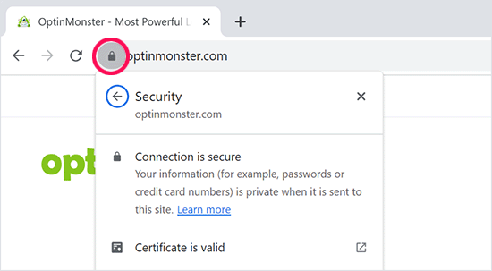 Secure SSL icon