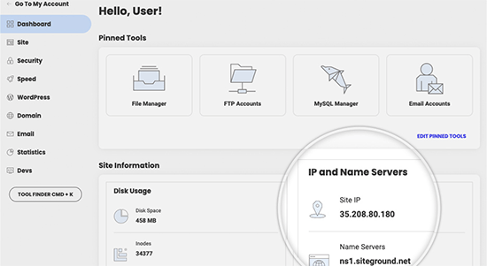 Server IP address