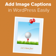 Add Image Captions In WordPress easily