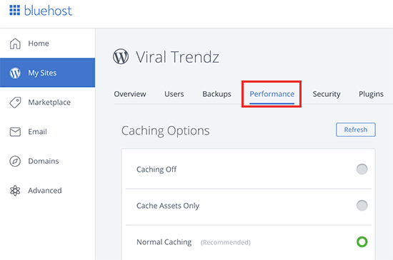 Turning on Caching in Bluehost
