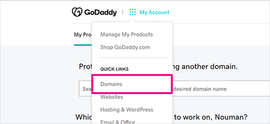 View your domains on GoDaddy