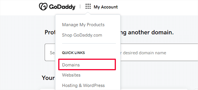 Godaddy domains