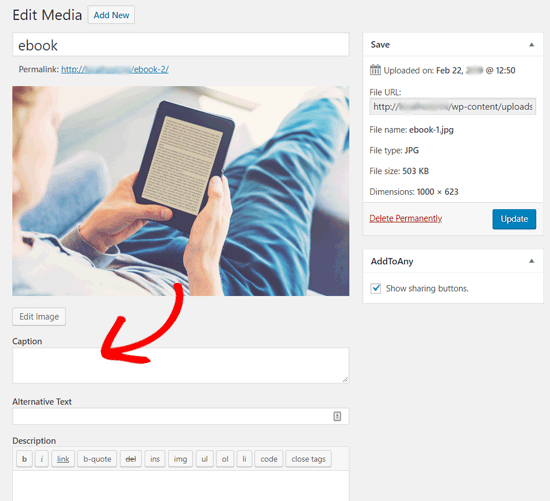 Image Post Edit Screen in WordPress