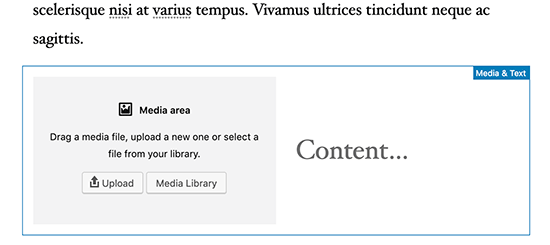 Media and text block in WordPress post editor