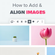 How to Add and Align Images in WordPress Block Editor (Gutenberg)