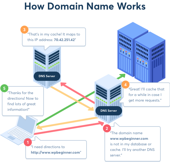 Website Domain Ranking