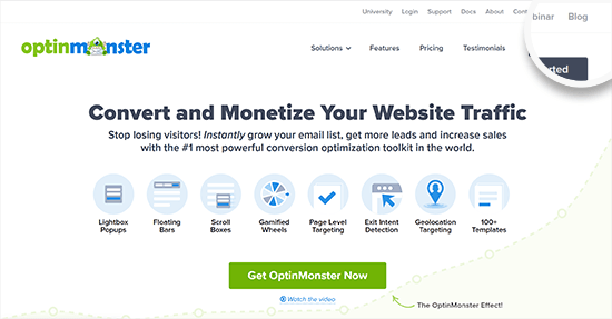 OptinMonster website and blog