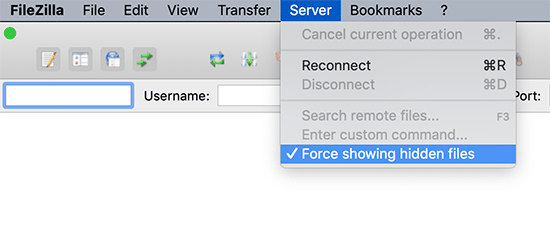 Show hidden files in FileZilla